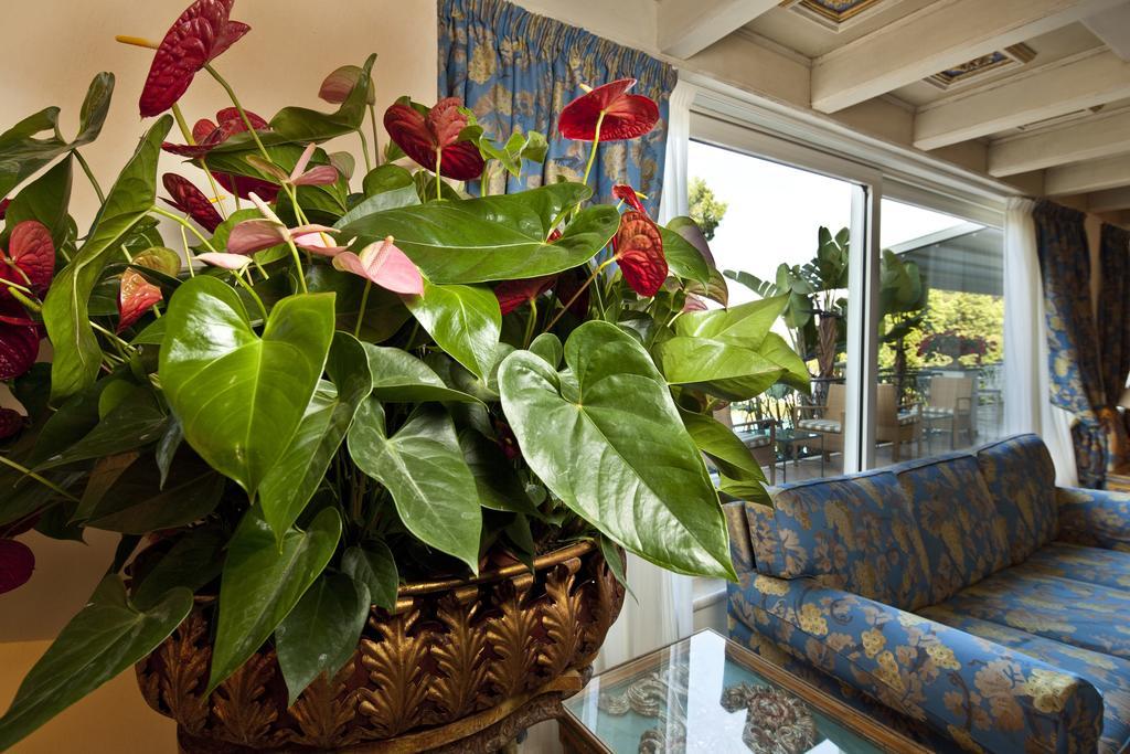 Excelsior Belvedere Hotel & Spa Ischia Extérieur photo